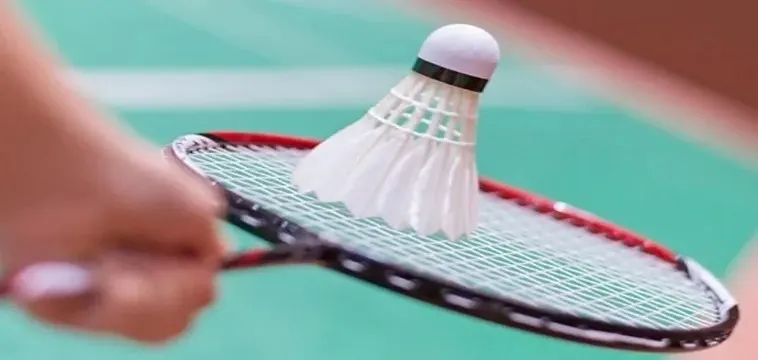 Khám Phá Cá Cược Cầu Lông Tại H3BET: Kinh Nghiệm Đỉnh Cao 2 Khám Phá Cá Cược Cầu Lông Tại H3BET: Kinh Nghiệm Đỉnh Cao