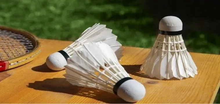 Khám Phá Cá Cược Cầu Lông Tại H3BET: Kinh Nghiệm Đỉnh Cao